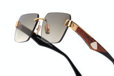 Sunglasses| Maybach 2